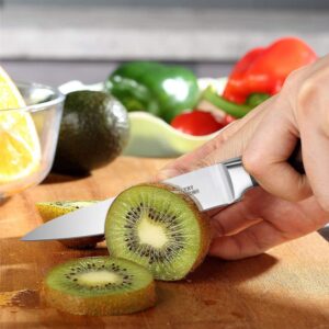 TUO Paring Knife 4 inch Peeling Knife Professional Fruit Knife German High Carbon Stainless Steel Kitchen Knife Ergonomic Pakkawood Handle with Gift Box-New Legacy Series