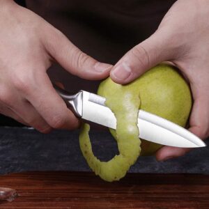 Stainless Steel Fruit Knife, 2 Fruit Knife Small, Sharp Blade, Integrated Stainless Steel Blade, Comfortable Handle, Exquisite Appearance, Suitable for Most Vegetables and Fruits