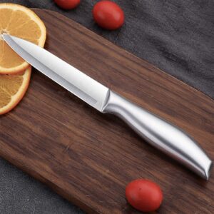 Stainless Steel Fruit Knife, 2 Fruit Knife Small, Sharp Blade, Integrated Stainless Steel Blade, Comfortable Handle, Exquisite Appearance, Suitable for Most Vegetables and Fruits