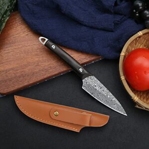 WILDMOK Fruit Knife 3.3 Inch Laser Pattern Kitchen Knife Stainless Steel Fruit and Vegetable Cutting Carving Knives with Leather Case (3.3 Inch Paring knife)