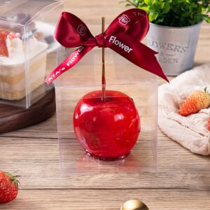 Clear Candy Apple Boxes with Hole 4"x 4"x 4" Transparent Favor Boxes Set of 20 Food-Grade Treat Box for Caramel Apples Cake Pops Cookies Chocolates (Clear, 20)