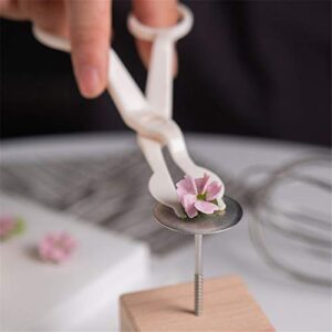 6PCS Cake Flower Nail and Flower Lifters Set, Stainless Steel Cake Cupcake Decor Baking Tools for Icing Flowers Decoration (4 Sizes)