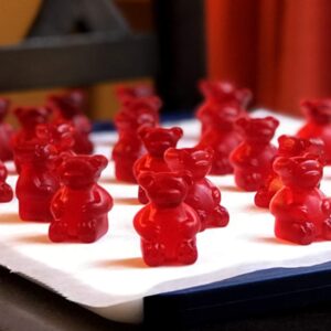 Medium Sized Silicone Gummy Bear Making Kit by The Modern Gummy with dropper and silicone measuring cup