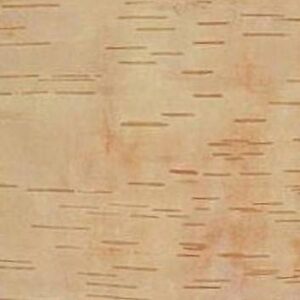 Bhojpatra , BHOJPATRA BARK Sheets , Betula UTILIS for Mantra Siddhi Wooden Yantra (23x 18cm) Wooden Yantra (Pack of light brown hiran150522-1 Bhojpatra big 23x18