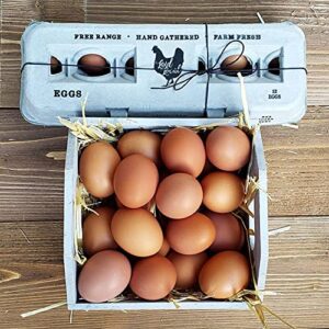 25 Egg Cartons- Adorable Printed Vintage Design for Farm Fresh Eggs, Recycled Paper Cardboard, Sturdy & Reusable, Carton Holds up to XL Chicken Eggs (25, Locally Laid Hen)