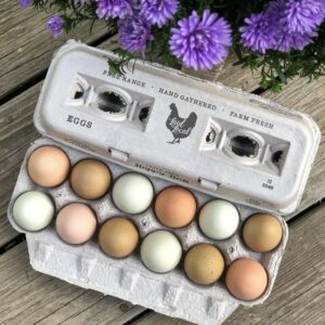 25 Egg Cartons- Adorable Printed Vintage Design for Farm Fresh Eggs, Recycled Paper Cardboard, Sturdy & Reusable, Carton Holds up to XL Chicken Eggs (25, Locally Laid Hen)