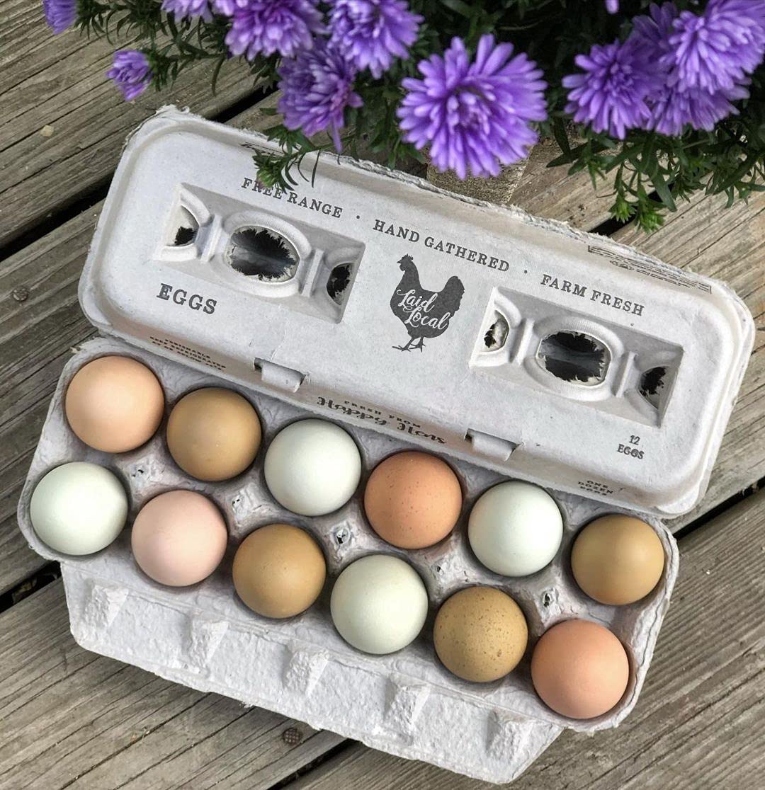 25 Egg Cartons- Adorable Printed Vintage Design for Farm Fresh Eggs, Recycled Paper Cardboard, Sturdy & Reusable, Carton Holds up to XL Chicken Eggs (25, Locally Laid Hen)