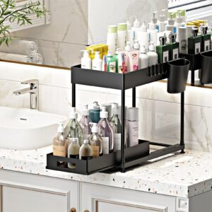 NYYTGE Under Sink Organizer Under Bathroom Cabinet Storage 2 Tier Storage Rack with 4 Hooks, Under Cabinet Organizer Baskets, Multi-Purpose Under Sink Shelf Organizer for Bathroom Kitchen