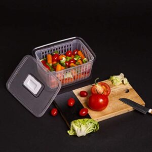 BINO | Produce Saver - 6.8 Cup/1.6L | Fridge Storage Containers for Fruits and Vegetables | Vegetable Storage with Adjustable Air Vent, Removable Basket | BPA-Free Fridge Organizers and Storage