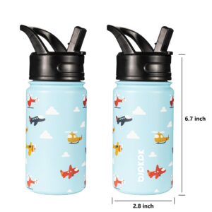 BJPKPK Water Bottle with Straw Lid, 15oz Insulated Water Bottle, Stainless Steel Metal Water Bottles, Reusable Leak Proof BPA Free Thermos, Flask, Cups, Aircraft