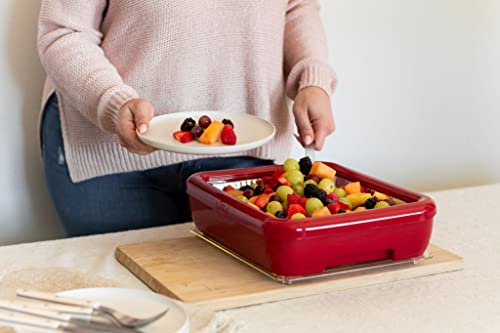 Fancy Panz Classic, Dress Up & Protect Your Foil Pan, Made in USA, Fits Half Size Foil Pans. Hot or Cold Food. Stackable for easy travel. (Red)