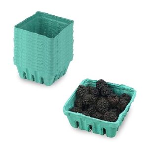 Green Molded Pulp Fiber Produce Vented Berry Basket 1/2 Pint for Packaging Fruits and Veggies by MT Products - (15 Pieces) - Made in The USA