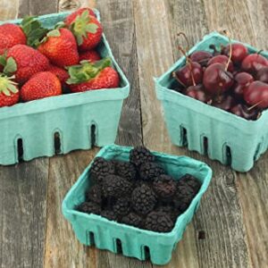 Green Molded Pulp Fiber Produce Vented Berry Basket 1/2 Pint for Packaging Fruits and Veggies by MT Products - (15 Pieces) - Made in The USA