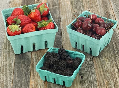 Green Molded Pulp Fiber Produce Vented Berry Basket 1/2 Pint for Packaging Fruits and Veggies by MT Products - (15 Pieces) - Made in The USA