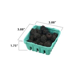 Green Molded Pulp Fiber Produce Vented Berry Basket 1/2 Pint for Packaging Fruits and Veggies by MT Products - (15 Pieces) - Made in The USA
