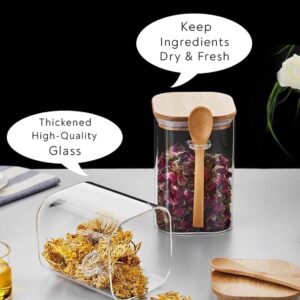 NEPIVEL 4 Pack Glass Jars with Bamboo Lids, 18.5Oz Containers Airtight Lid and Spoons,100% Sealed Spice for Candy Coffee Beans Sugar Nuts Cookies,540ml