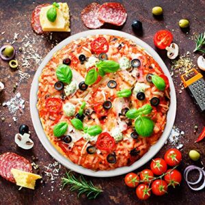 4 Pieces 10 Inch Seamless Round Pizza Screen Aluminum Mesh Pizza Screen Pizza Mesh Baking Tray for Home Kitchen Restaurant Supplies