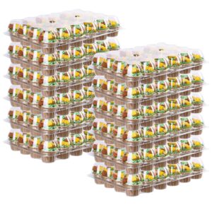 (12 count x 12 pack) cupcake containers 12 count cupcake boxes plastic cupcake carrier cupcake holders for 12 cupcakes clear plastic disposable cupcake container with high tall dome lid cupcake trays