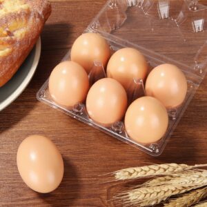 DAJAVE 100 Pack Plastic Egg Cartons, Clear Egg Cartons Cheap Bulk, Holds up for 6 Eggs Securely, Plastic Egg Holder for Family, Pasture, Farm Markets Display(Medium)