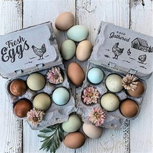 Half Dozen Empty Egg Cartons- 15 Full Dozen Can Split to 30 Half Dozen Size Cartons- Securely Holds 6 or 12 Extra Large Eggs