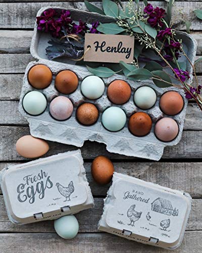 Half Dozen Empty Egg Cartons- 15 Full Dozen Can Split to 30 Half Dozen Size Cartons- Securely Holds 6 or 12 Extra Large Eggs