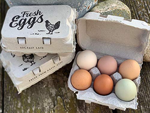 Half Dozen Empty Egg Cartons- 15 Full Dozen Can Split to 30 Half Dozen Size Cartons- Securely Holds 6 or 12 Extra Large Eggs