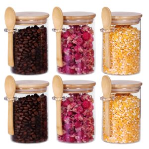 glass jars with bamboo lids and spoon set of 6, 17 oz coffee sugar container set with scoop, overnight oatmeal jars containers with lids and spoon for loose tea, yogurt