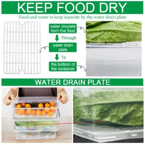 Meanplan Food Storage Containers for Fridge Plastic refrigerator Organizers with Removable Drain Plate and Lid Stackable Produce Containers to Keep Fruits, Vegetables, Meat(8 Packs)