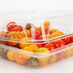 Golden Apple, Clear Plastic Square Hinged Food Container, 8" Length x 8" Width x 3" Depth, 20pieces