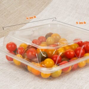 Golden Apple, Clear Plastic Square Hinged Food Container, 8" Length x 8" Width x 3" Depth, 20pieces