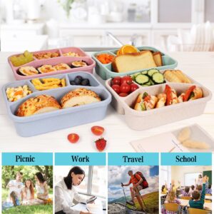 xhongz 4 Compartment Meal Prep Lunch Containers for Adults Kids, 4 Pack Bento Lunch Box,Durable BPA Free Plastic Reusable Food Storage Containers with lid, Microwave/Dishwasher/Freezer Safe