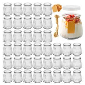 4oz small glass jars 40pack, clear glass pudding jars with pe lids and tags, spice jars/ glass jelly jars/ yogurt jars/ small jars with lids (set of 40)