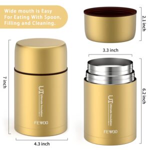 FEWOO Food Jar - 27oz Vacuum Insulated Stainless Steel Lunch Thermos, Leak Proof Soup Containers with bag for Hot or Cold Food (Champaign Golden)