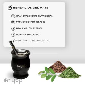 OnlyBP® Argentinian Yerba Mate Set - Includes Yerba Mate Cup, Thermos, 2 Bombillas and Cleaning Brush - Premium Quality 304 Stainless Steel - Double-Walled