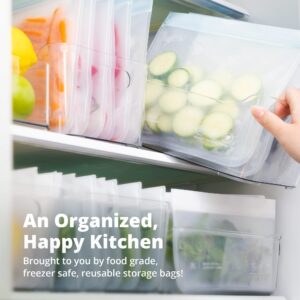 Greater Goods Reusable Food Storage Bags - BPA Free, Food Grade Ziplock Freezer Bags Made from PEVA (10 Medium)