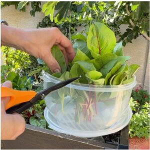 Trenton Gifts Lettuce And Vegatable Storage Keeper | 7" X 8"