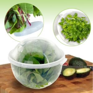 Trenton Gifts Lettuce And Vegatable Storage Keeper | 7" X 8"