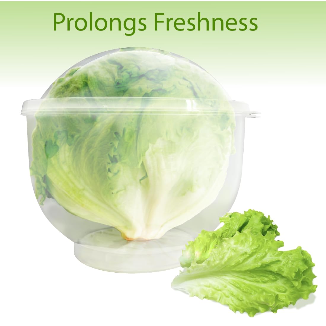 Trenton Gifts Lettuce And Vegatable Storage Keeper | 7" X 8"