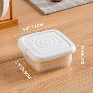 AONUOWE 2Pcs Cheese Container For Fridge Square Sliced Cheese Holder Clear Food Organizer with Lid Cheese Keeper (White)