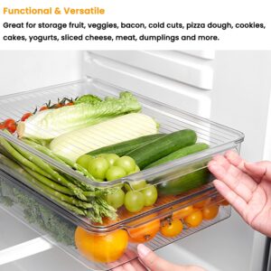 vacane Stackable Freezer Organizer, Clear Produce Saver Sliced Cheese Container with Lids, Freezer Storage Containers Food Storage Tray for Fruits, Vegetables, Meat