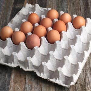 Blank Natural Pulp Egg Cartons Holds Up to Twelve Eggs - 1 Dozen (25 Pieces) and Biodegradable Pulp Fiber Egg Flats for Storing up to 30 Large or Small Eggs (15 Pieces) by MT Products