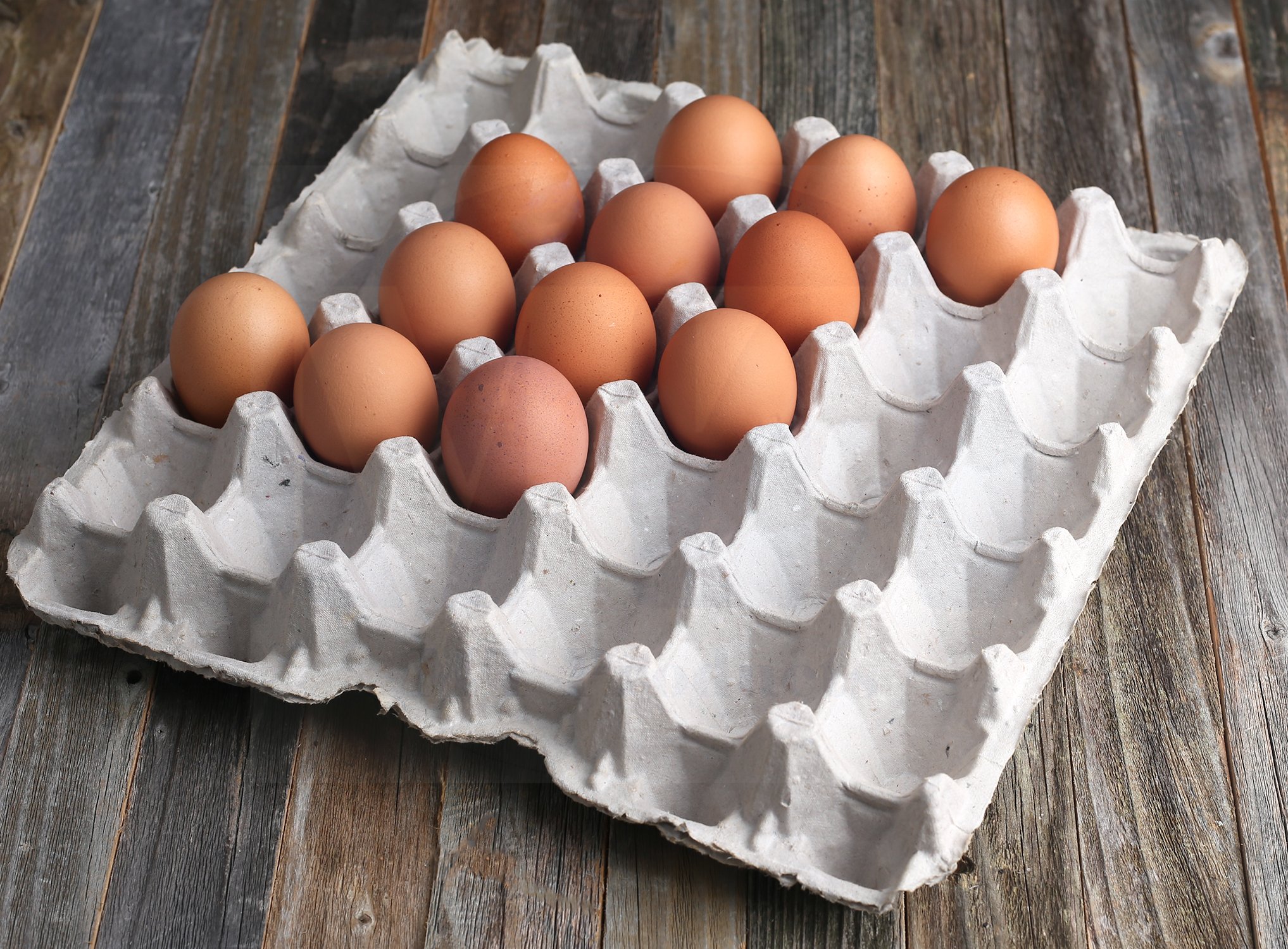 Blank Natural Pulp Egg Cartons Holds Up to Twelve Eggs - 1 Dozen (25 Pieces) and Biodegradable Pulp Fiber Egg Flats for Storing up to 30 Large or Small Eggs (15 Pieces) by MT Products