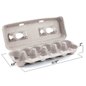 Blank Natural Pulp Egg Cartons Holds Up to Twelve Eggs - 1 Dozen (25 Pieces) and Biodegradable Pulp Fiber Egg Flats for Storing up to 30 Large or Small Eggs (15 Pieces) by MT Products