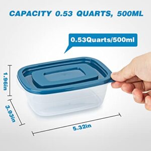 PEDECO 10PCS Rectangle Plastic Portion Box Sets with Lids.Food Storage Box,Container Sets,Food Storage,Food Containers,Plastic Container,use for School,Work and Travel,0.53 Quarts Per Box.