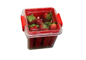 fruit and vegetable saver storage basket strawberries blueberries - promotes airflow and prevents spoilage produce storage container with lid bpa-free