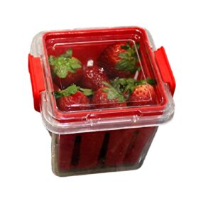 Fruit and Vegetable Saver Storage Basket Strawberries Blueberries - Promotes Airflow and Prevents Spoilage Produce Storage Container with Lid BPA-FREE