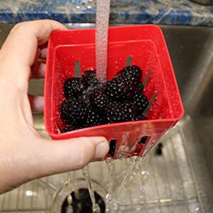 Fruit and Vegetable Saver Storage Basket Strawberries Blueberries - Promotes Airflow and Prevents Spoilage Produce Storage Container with Lid BPA-FREE