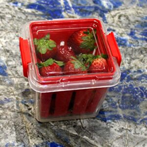 Fruit and Vegetable Saver Storage Basket Strawberries Blueberries - Promotes Airflow and Prevents Spoilage Produce Storage Container with Lid BPA-FREE