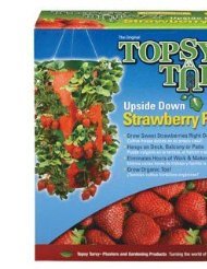 topsy turvy strawberry planter