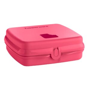 tupperware sandwich keeper square hinged and locking box pink